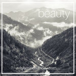 Beauty