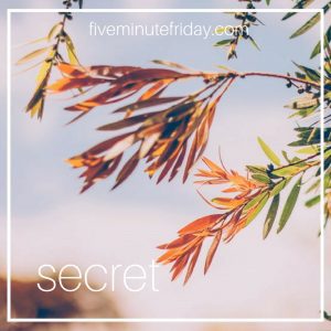 Secret