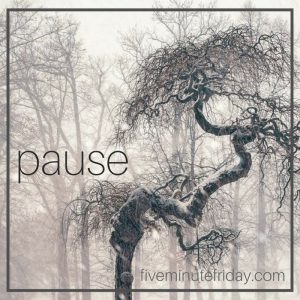 Pause
