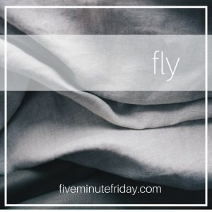 Fly