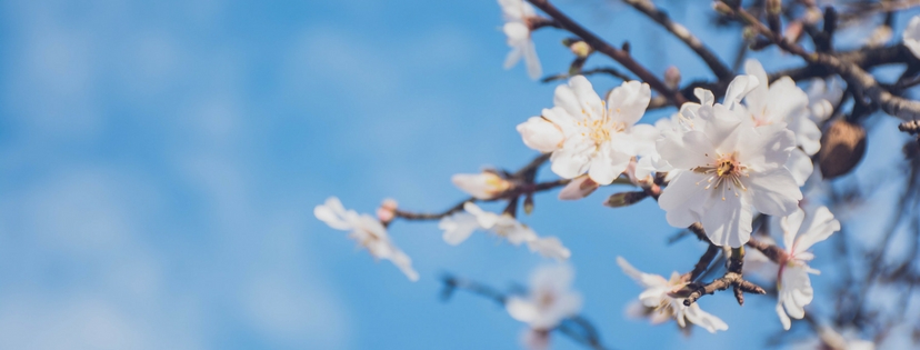 Count Your Blessings