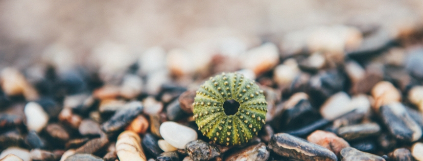 Five Minute Friday :: Collect