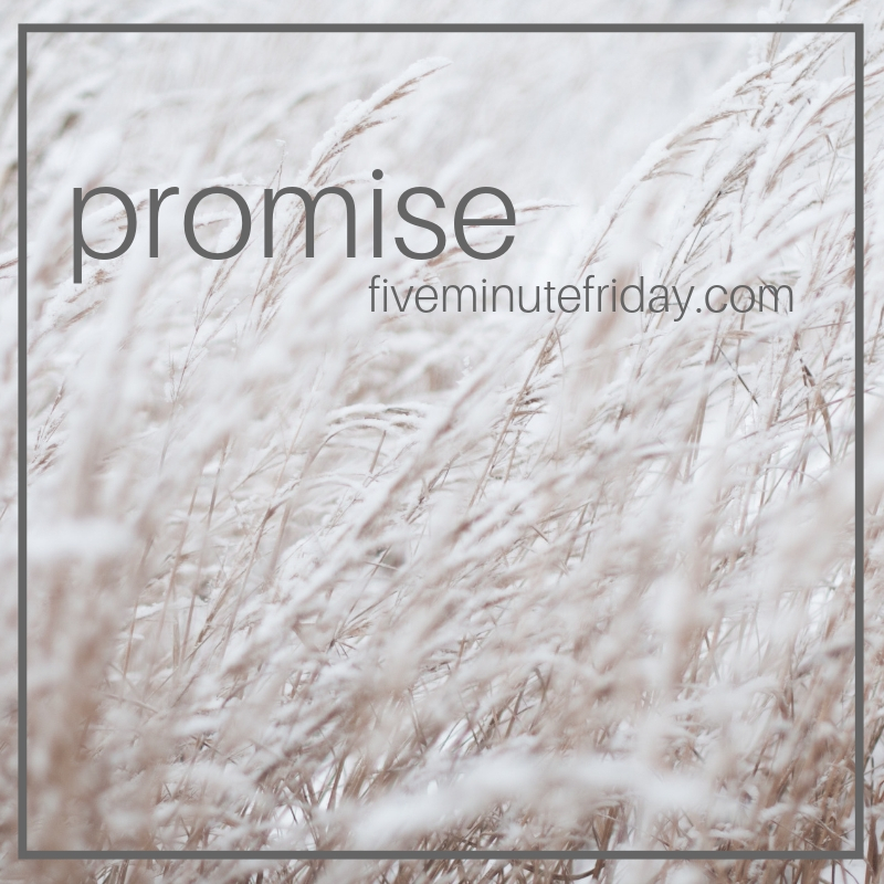 Promise