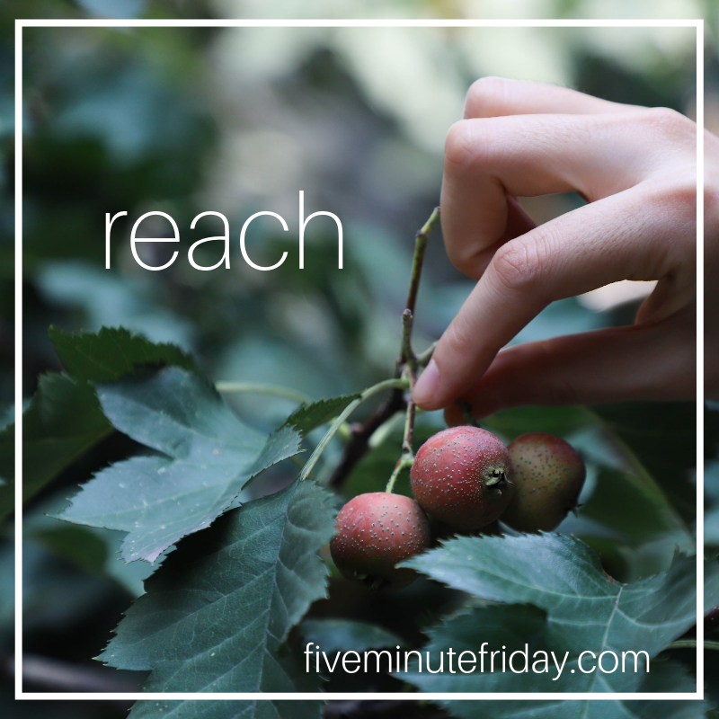 reach