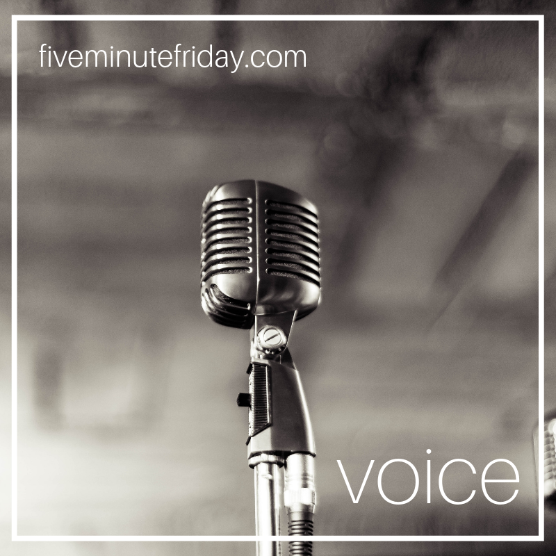 voice