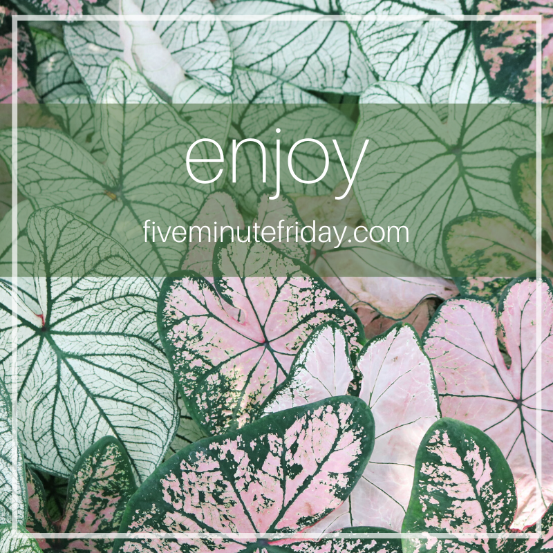 enjoy