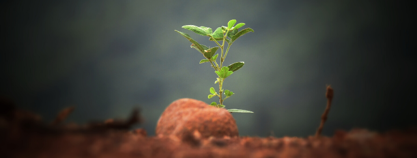 FMF Writing Prompt Link-up :: Life {Guest post by Heather Gerwing}