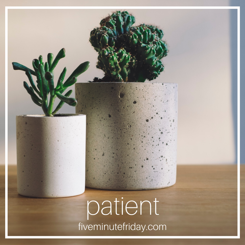 patient