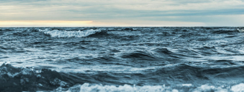 FMF Writing Prompt Link-up :: Respect