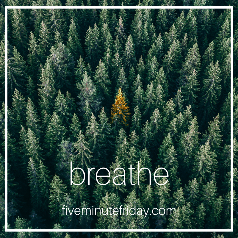breathe