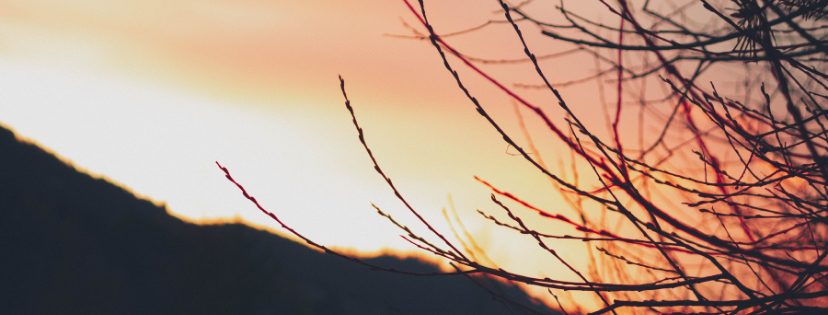 FMF Writing Prompt Link-up :: Conclude