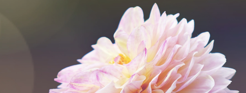 FMF Writing Prompt Link-up :: Fresh