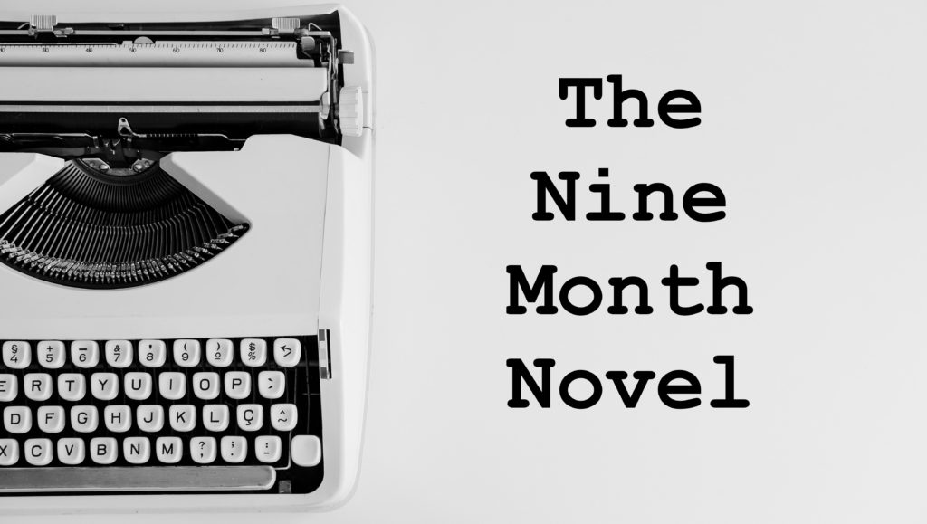 nine month novel