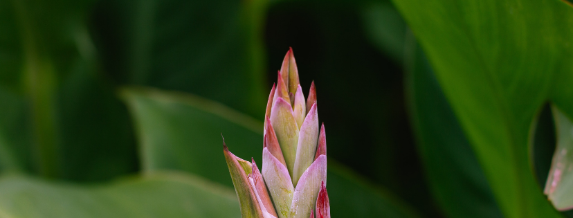 FMF Writing Prompt Link-up :: Gentle