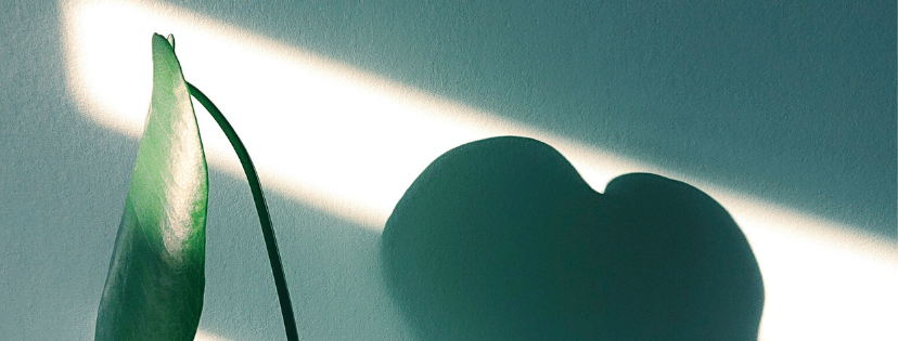 FMF Writing Prompt Link-up :: Care