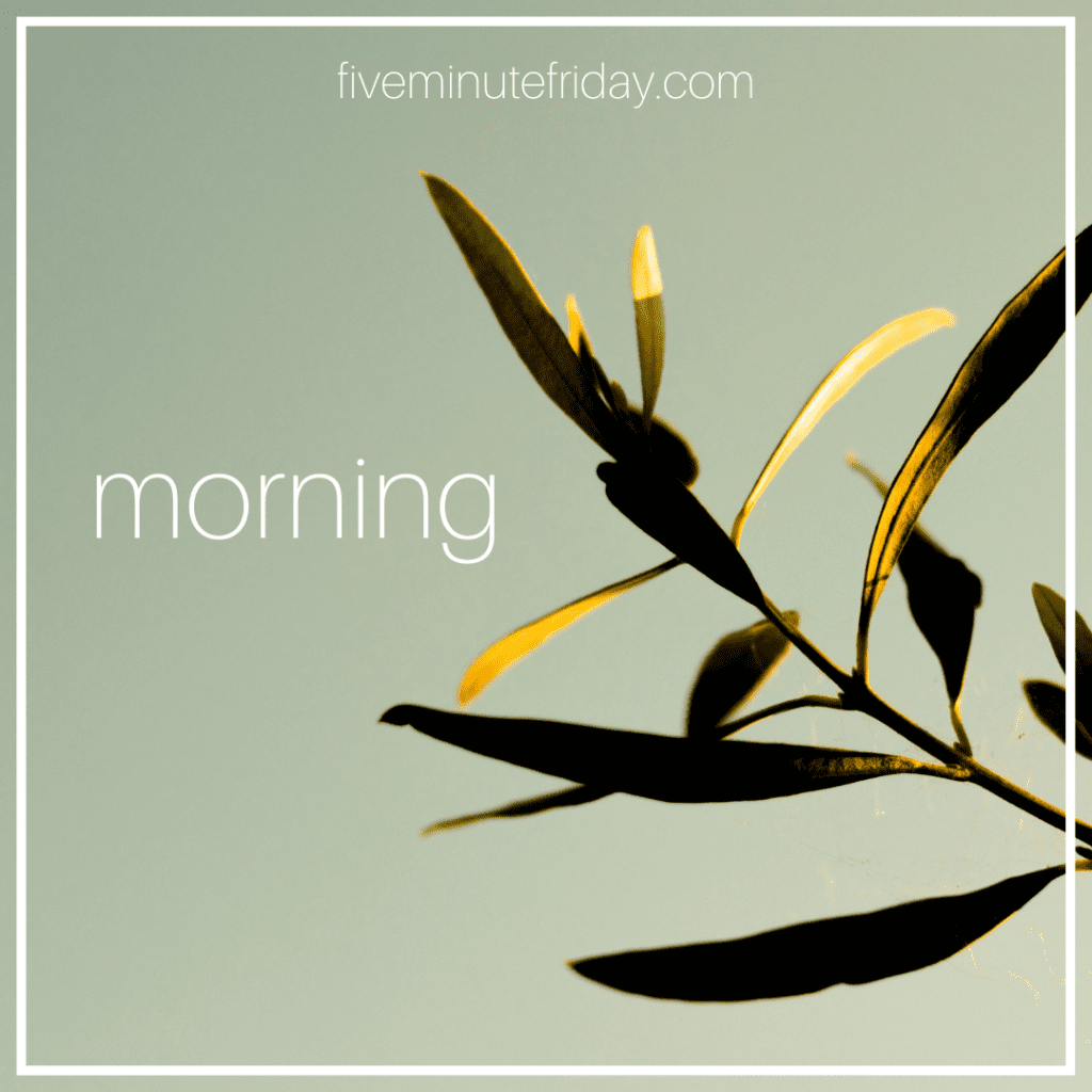 morning
