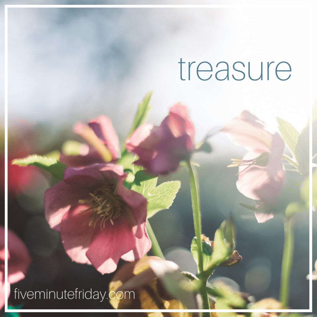 treasure