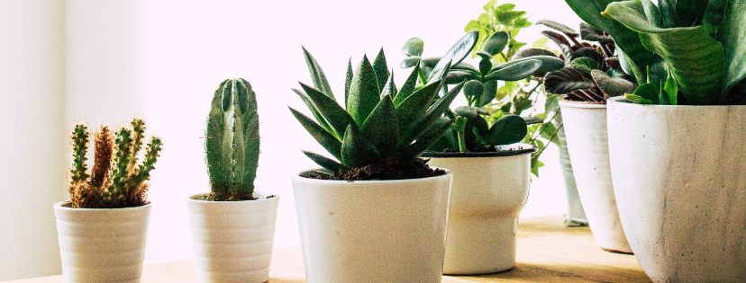 FMF Writing Prompt Link-up :: Complete