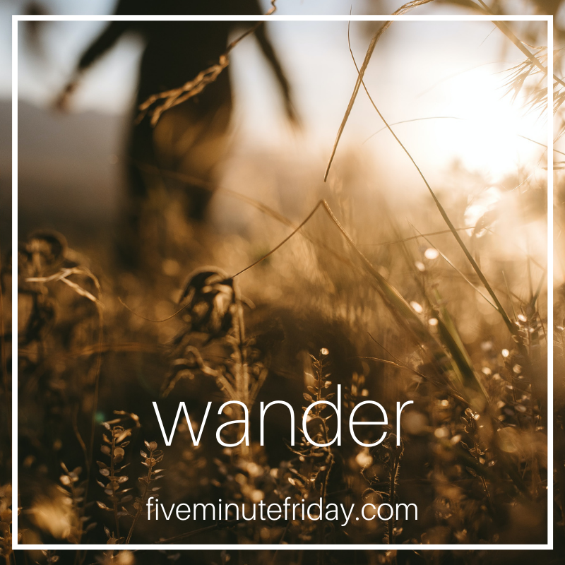 wander