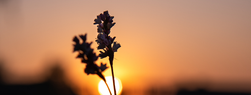 FMF Writing Prompt Link-up :: Trial