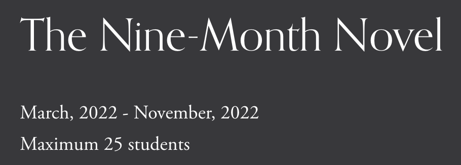 nine month novel