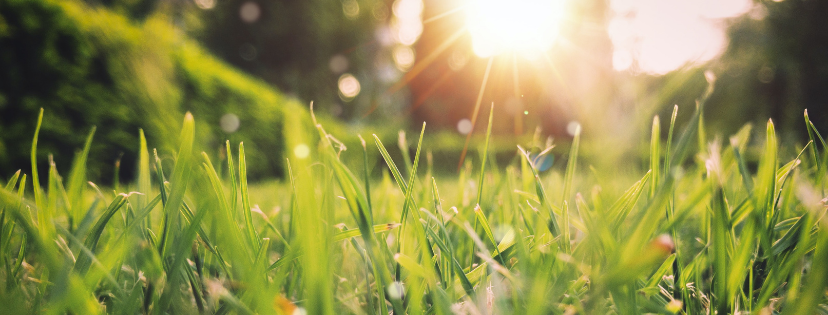 FMF Writing Prompt Link-up :: Spring