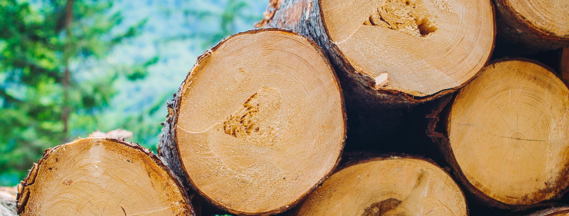 FMF Writing Prompt Link-up :: Heavy