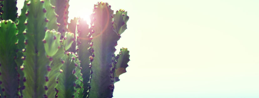 FMF Writing Prompt Link-up :: Trust