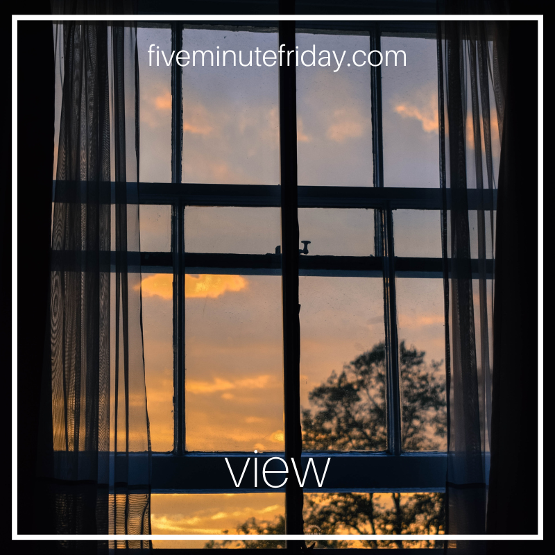 view