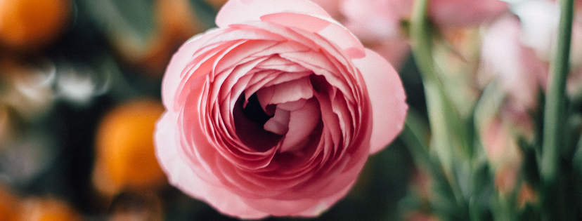 FMF Writing Prompt Link-up :: Generous