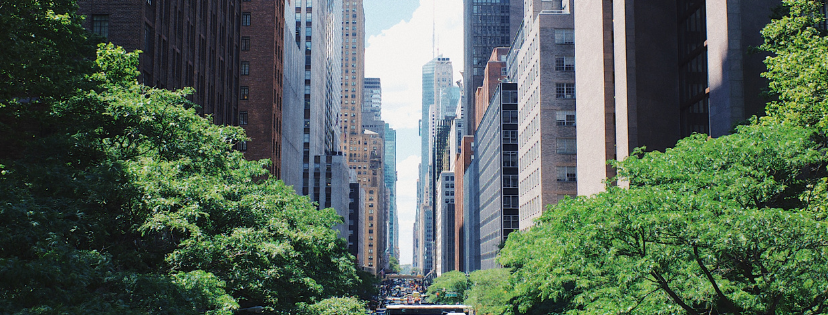 FMF Writing Prompt Link-up :: Represent