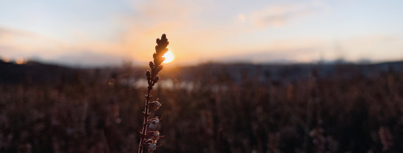 FMF Writing Prompt Link-up :: Compromise