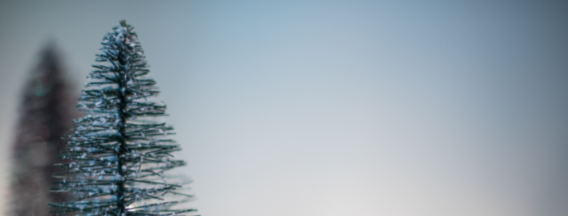 FMF Writing Prompt Link-up :: Simple