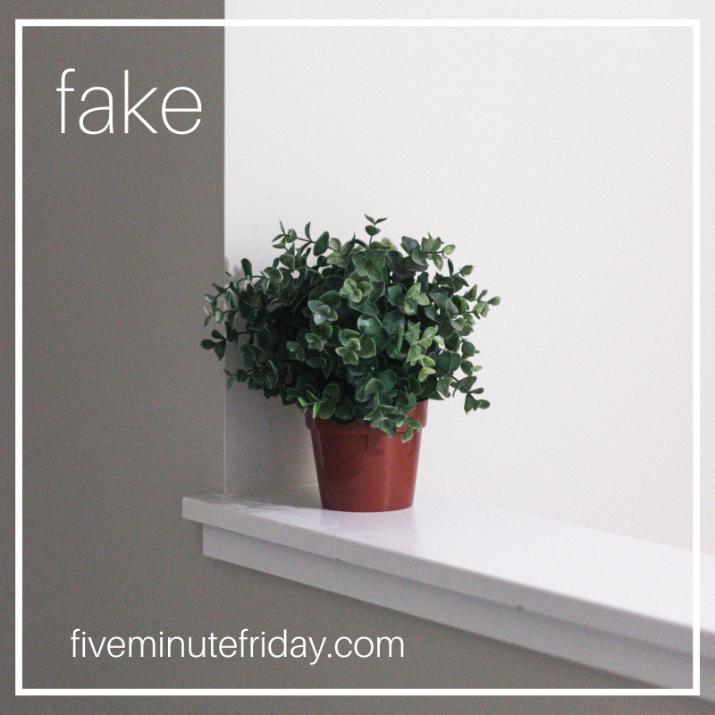 fake