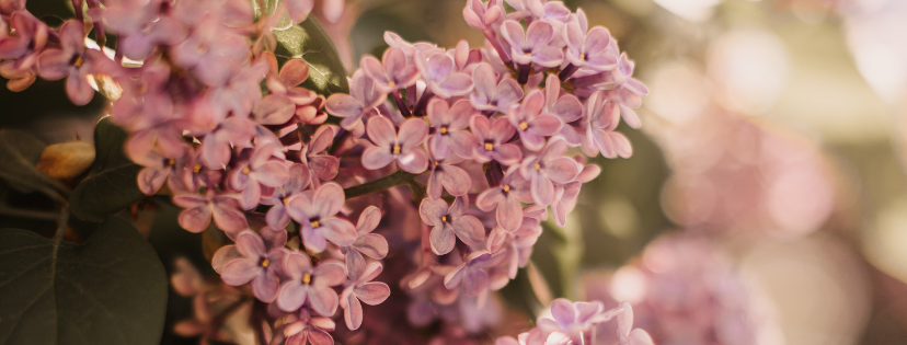 FMF Writing Prompt Link-up :: Assume