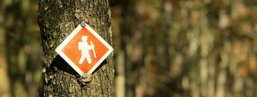 FMF Writing Prompt Link-up :: Decide