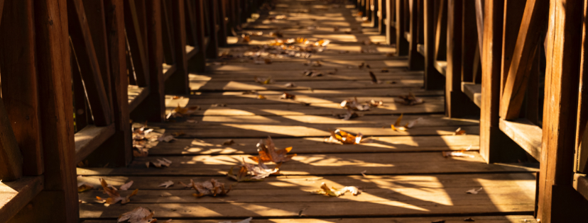 FMF Writing Prompt Link-up :: Season