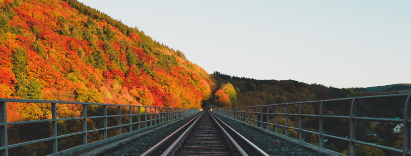 FMF Writing Prompt Link-up :: Maintain