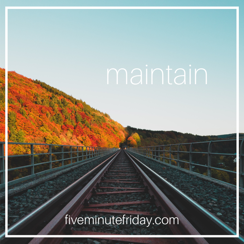 maintain