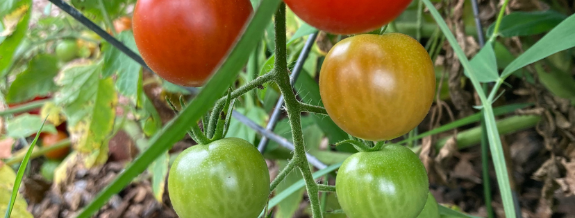 FMF Writing Prompt Link-up :: Turn