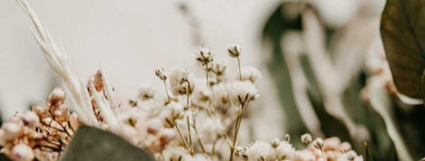 FMF Writing Prompt Link-up :: Say