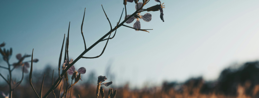 FMF Writing Prompt Link-up :: Suffer