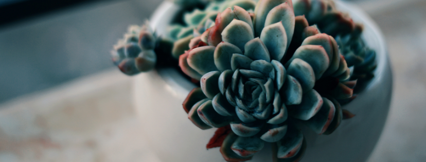 FMF Writing Prompt Link-up :: Blame