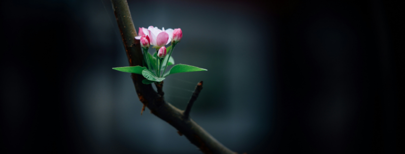 FMF Writing Prompt Link-up :: Almost