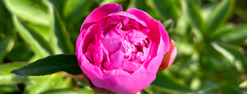 FMF Writing Prompt Link-up :: Nothing