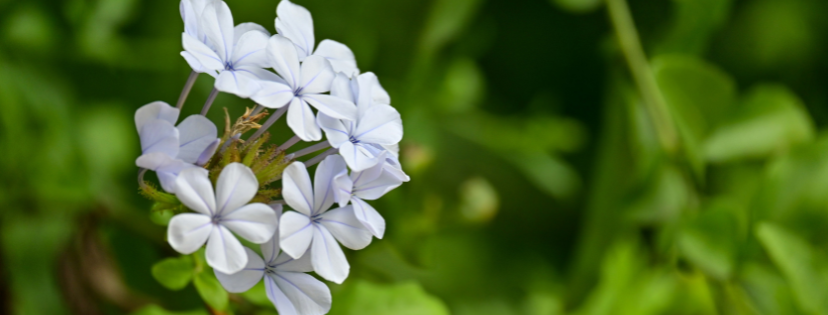 FMF Writing Prompt Link-up :: Specific