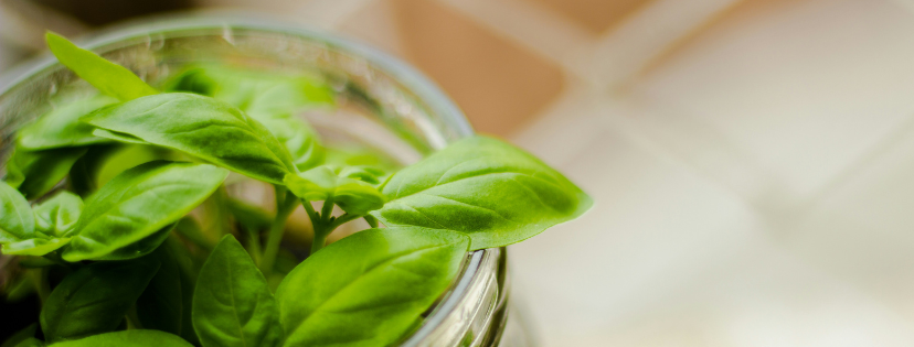 FMF Writing Prompt Link-up :: Capacity