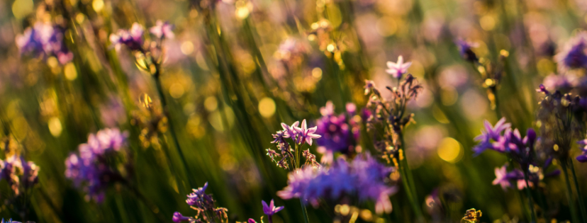 FMF Writing Prompt Link-up :: Tolerate