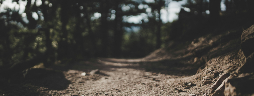 FMF Writing Prompt Link-up :: Weight