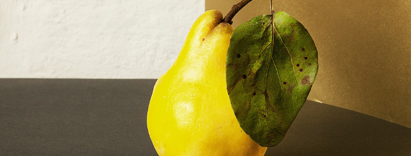 FMF Writing Prompt Link-up :: Satisfied